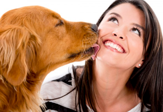 10 beneficios saludables de tener perro