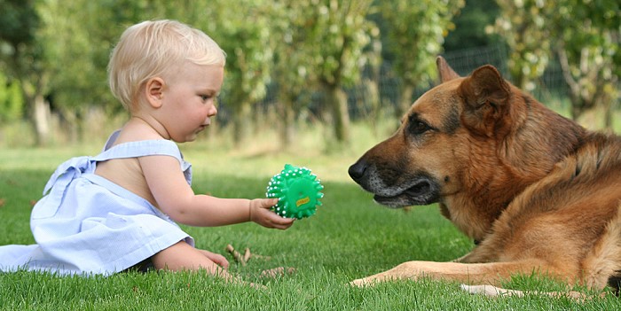 Las mascotas desarrollan inteligencias en niños de 0 a 7 años