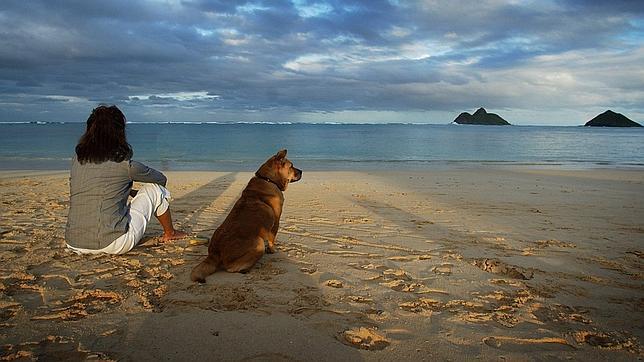 Consejos para pasar con tu perro un gran día de playa